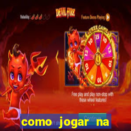 como jogar na teimosinha da lotofacil